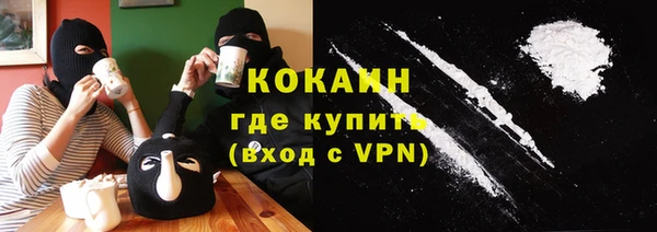 твердый Алексин