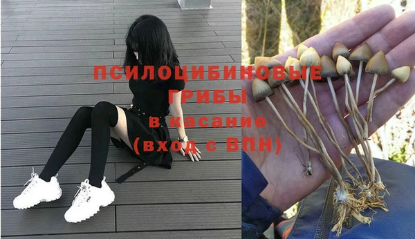 твердый Алексин