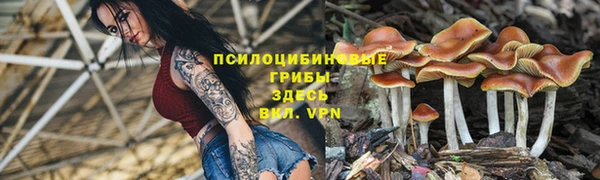 кокаин перу Алзамай