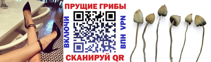 Псилоцибиновые грибы Magic Shrooms MEGA вход Североуральск купить